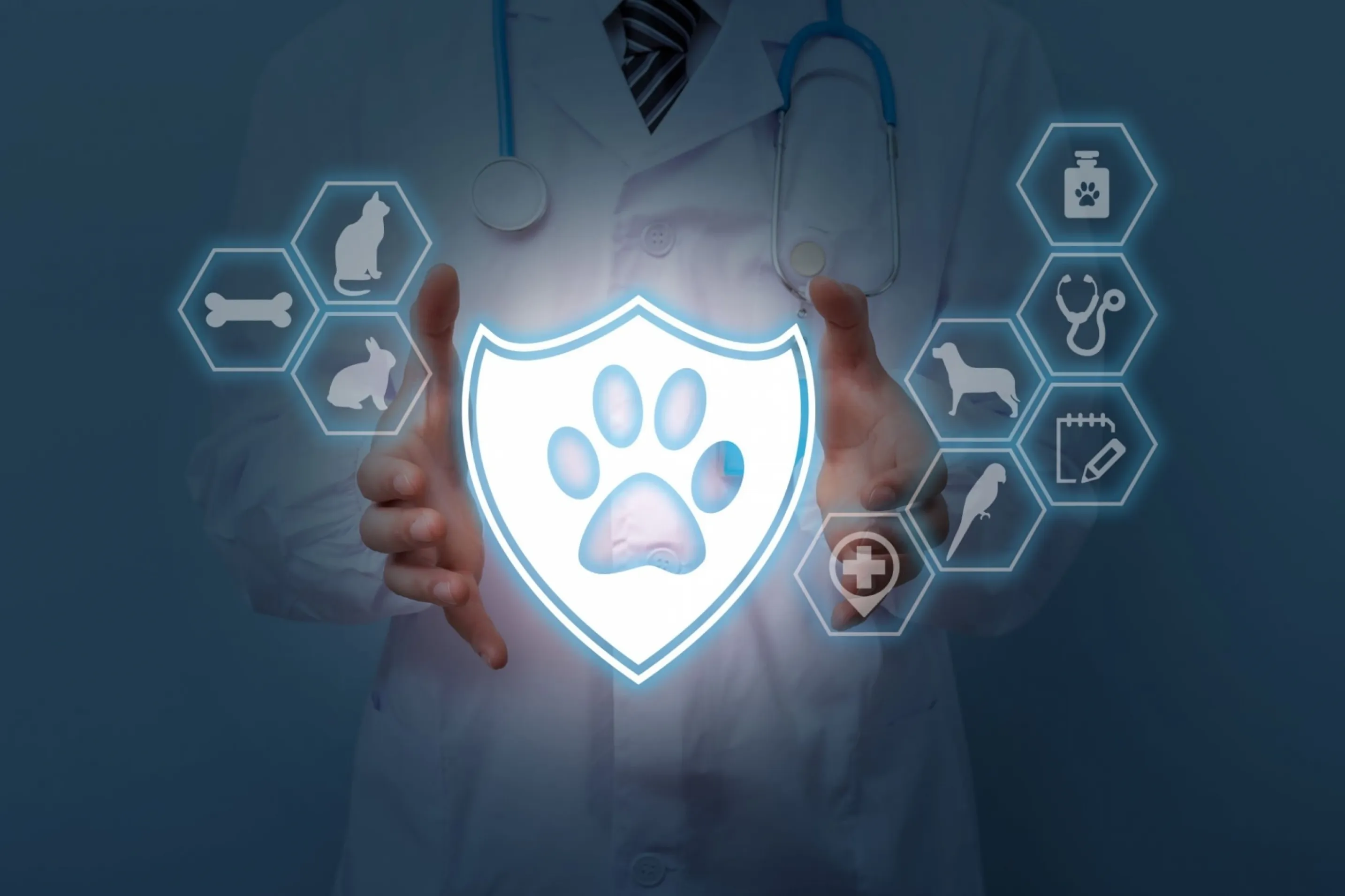 Protecting your canine companion with DgNote's coverage.